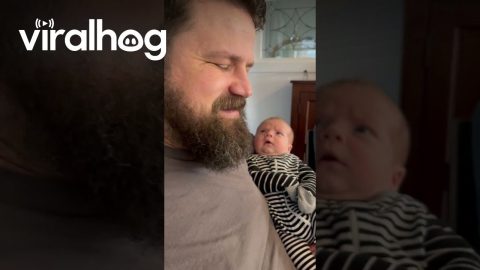 Baby’s First Time Seeing a Beard || ViralHog