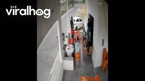 Man Stumbles Backward Off Porch || ViralHog