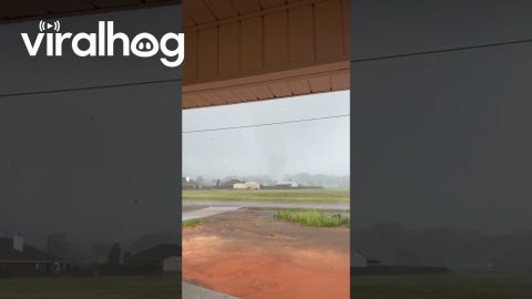 Tornado Touches Down In Alabama || ViralHog