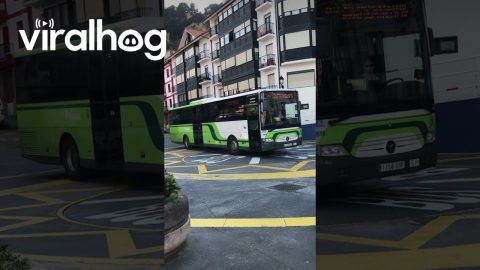 The Turntable || ViralHog