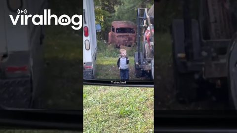 Dad Gets Some Help Parking His Trailer || ViralHog