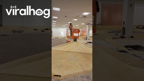Genius Way To Quickly Remove Carpet || ViralHog