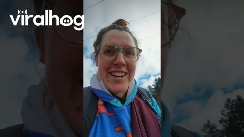 Dog Walker Takes Whole Animal Family on Walk || ViralHog