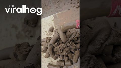 Clearing Out the Pipes || ViralHog