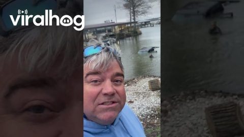 Boat Ramp Fail Submerges Truck || ViralHog