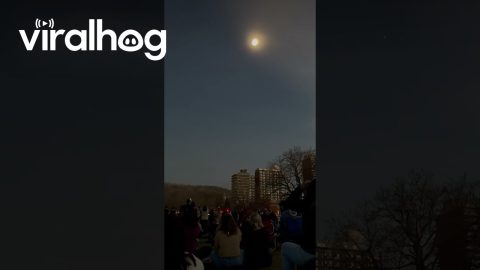 Crowd Cheers At Solar Eclipse || ViralHog