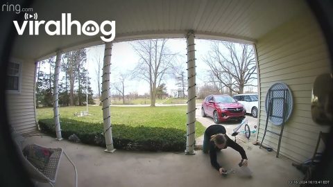Teen Trips Going Up Stairs || ViralHog