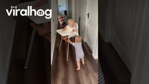 Twins Make A Break For It With High Chair || ViralHog