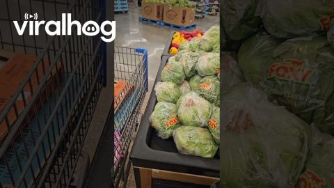 Alleged Chicken Mislabeling || ViralHog