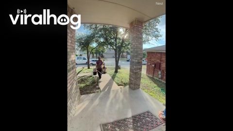 My Cleaning Lady's Car Got Hit by a Work Van || ViralHog
