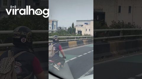 Guy Rides Mini Motorbike || ViralHog