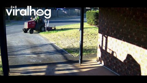 Worker on Riding Lawn Mower Runs Over Mailbox || ViralHog