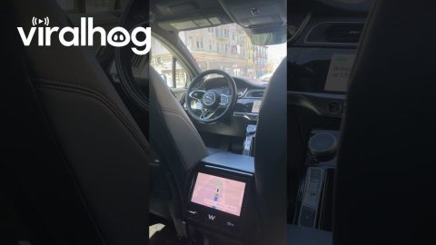 Self-Driving Car Makes April Fools' Joke || ViralHog