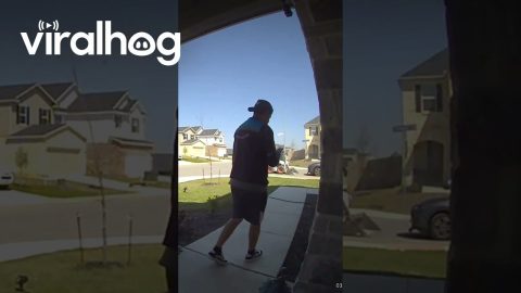 Skid Steer Crashes Into Delivery Driver's Parked Car || ViralHog