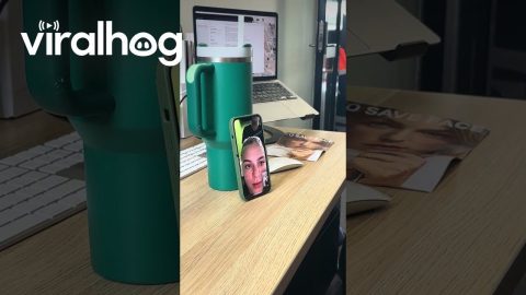 Woman Video Chats With Her Boss While at Salon || ViralHog