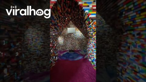 Adult-Sized House From Building Bricks || ViralHog