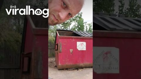 Man Helps Raccoon Stuck Under Dumpster || ViralHog