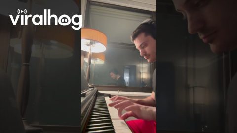 Silent Piano Is Still A Small Drum || ViralHog