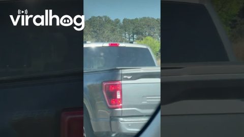 A Threatening Plea to Attend Church || ViralHog