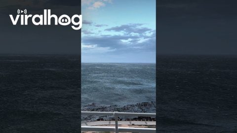 Strong Winds Push Waves Away From Shoreline || ViralHog
