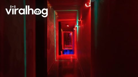 Club-Goer Distracted By Mirror Runs Out Of Floor || ViralHog
