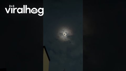 Solar Eclipse Seen From Burlington, Ontario || ViralHog