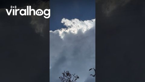 Toy Fairy Flies Into the Sky || ViralHog
