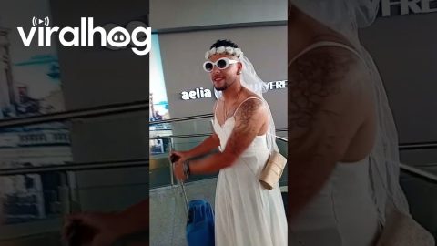 Man Walks Through Airport In Wedding Dress || ViralHog