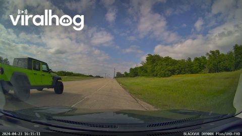Police Officer Allegedly Cuts Off Driver || ViralHog