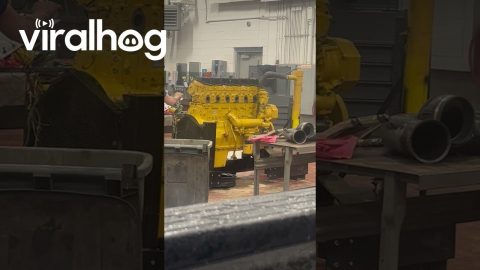 Diesel Engine Malfunctions || ViralHog