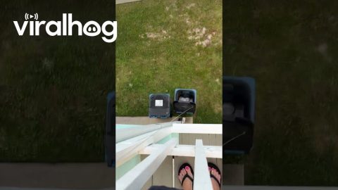 Trash Removal Made Easy || ViralHog