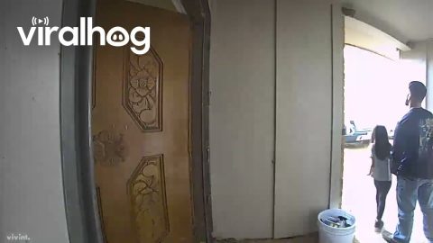 Sudden Thunderclap Startles Dad and Daughter || ViralHog