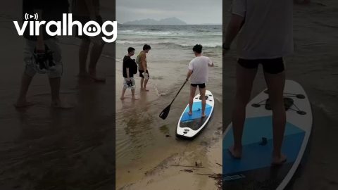 Paddleboard Rescue Goes Awry || ViralHog