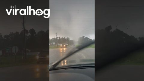 Tornado in Columbus County, North Carolina || ViralHog
