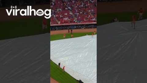 Tarp Runner Gets Caught Under Tarp || ViralHog