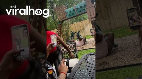 Big Guy Breaks Playset Swing || ViralHog