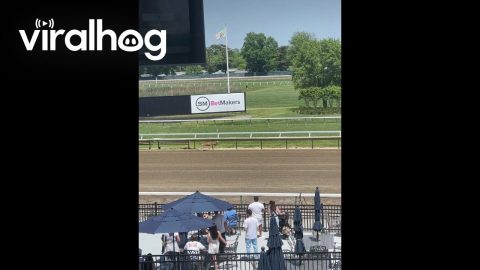 Deer Runs on Racetrack || ViralHog