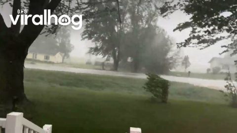 65 mph Straight Line Winds In NE Iowa || ViralHog