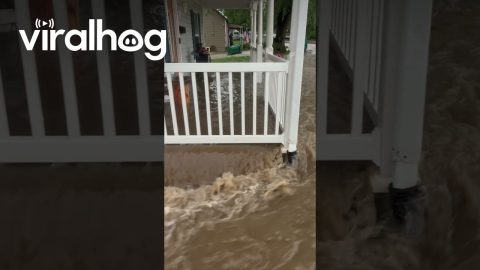 Man Reacts to His House Getting Flooded || ViralHog