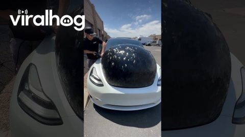 Removing a Vehicle Wrap || ViralHog