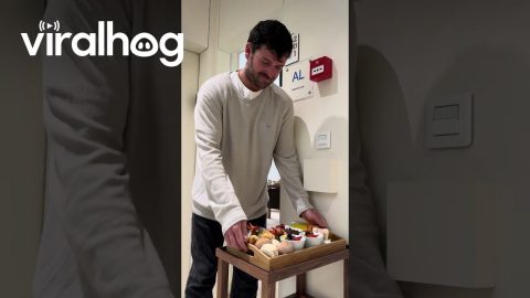 Guy Accidentally Drops Hotel Breakfast || ViralHog