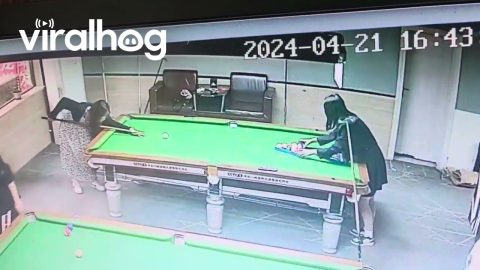 Failed Billiards Shot Hits Friend || ViralHog