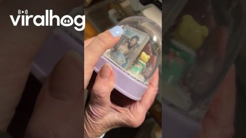 Granddaughter Discovers Grandma's Heartwarming Stock Photo Mix-Up || ViralHog