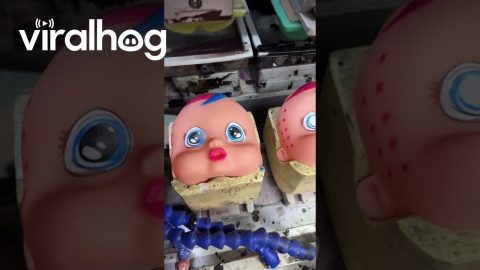 Painting Doll Faces || ViralHog