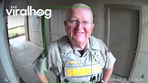 Motion Tracking Security Camera Makes Deputy's Day || ViralHog
