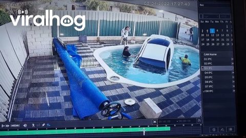 Car Crashes Through Fence and Into Swimming Pool || ViralHog