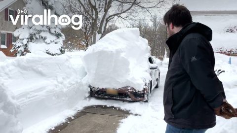 VW Beetle Buried By Snow || ViralHog