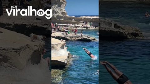 Dog Jumps To Swimming Owner's Arms || ViralHog