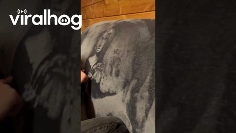 Friend Draws Mona Lisa on a Blanket || ViralHog