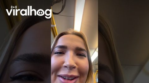 Dirty Dogs On Melbourne Train || ViralHog